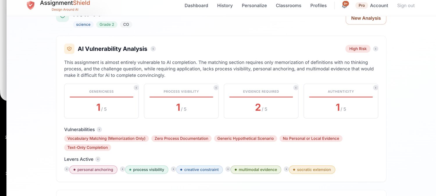 AI vulnerability analysis of an assignment